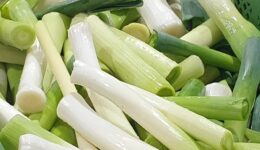 fairbio-blog-gemuese-sucht-gaertner-wirgarten-franchise-system fairbio-blog-gemuese-sucht-gaertner-wirgarten-franchise-system
