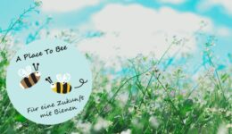 A Place to Bee, Bienen-Aktionsplan, BUND, Aurelia Stiftung