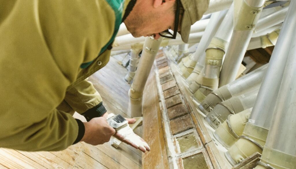 bauckhof-produktion-fairbio-regional-ökoanbau-wertschöpfungsketten-hpa-bio