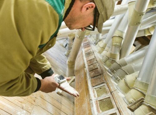 bauckhof-produktion-fairbio-regional-ökoanbau-wertschöpfungsketten-hpa-bio