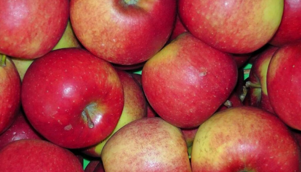 Die wahren Kosten eines Apfel- die Eosta-Studie hat sie berechnet