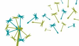 FairBio-Blog-Gemeinwohlökonomie
