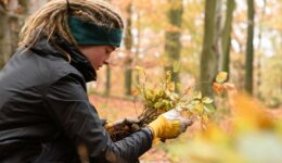 fairbio-spielberger-nachhaltige-tüten-wildlinge_ziehen_hinterweidenthal
