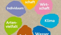 fairbio-blog-das-neue-normal-nachhaltigkeitsblume