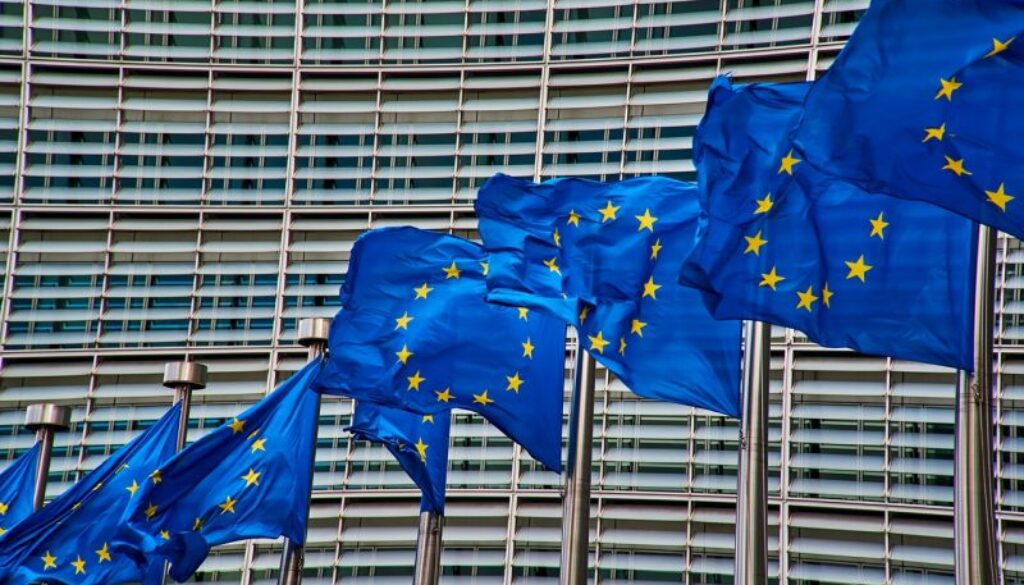 pflicht-zur-nachhaltigen-veraenderung-regionalwert-research-lay-kumar