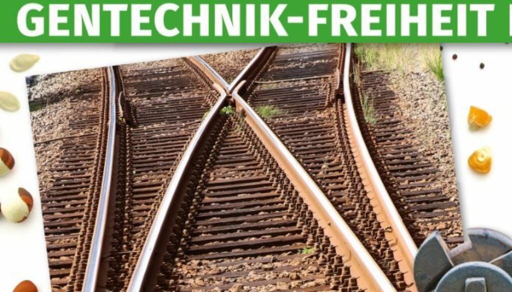 fairbio-blog-bleibt-uns-mit-gvo-vom-acker-upländer