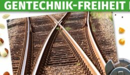 fairbio-blog-bleibt-uns-mit-gvo-vom-acker-upländer