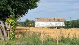 fairbio-turn-the-tables-ci-romero