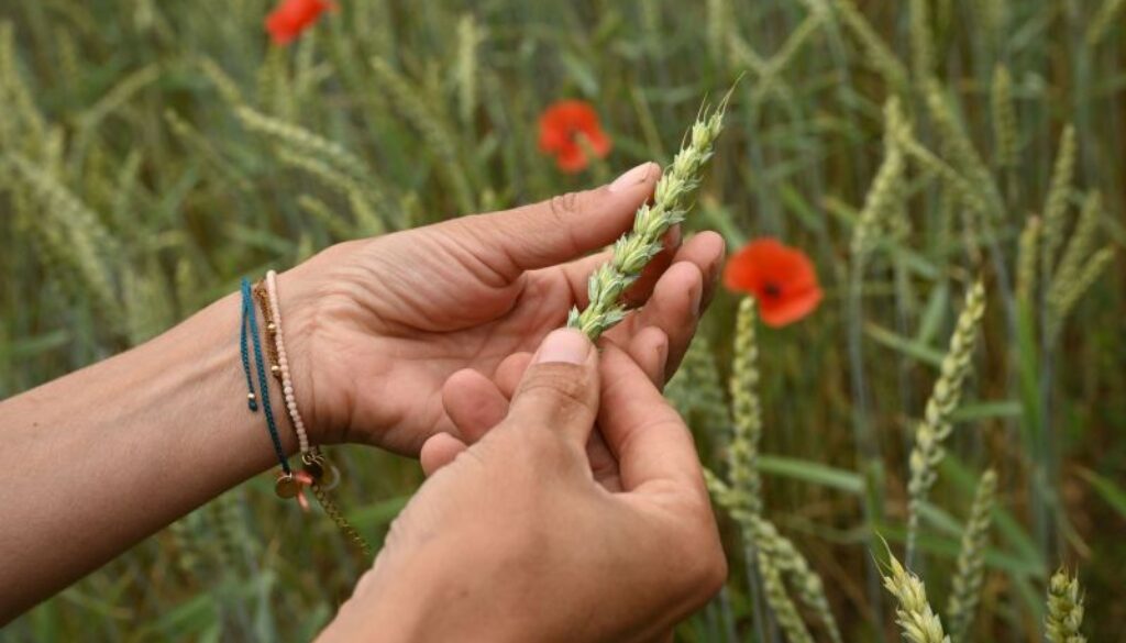 fairbio-blog-schweizer-bio-fuer-coop